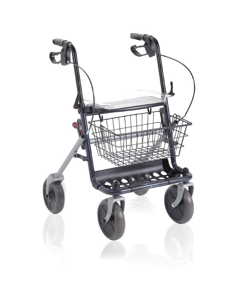 Rollator de Acero Dyone 1.0